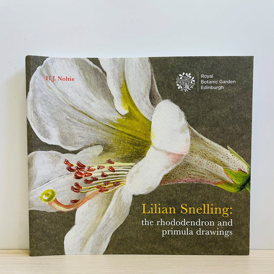Lillian Snelling: The rhododendron and primula drawings