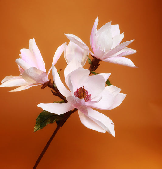 Paper Flowers: Magnolias