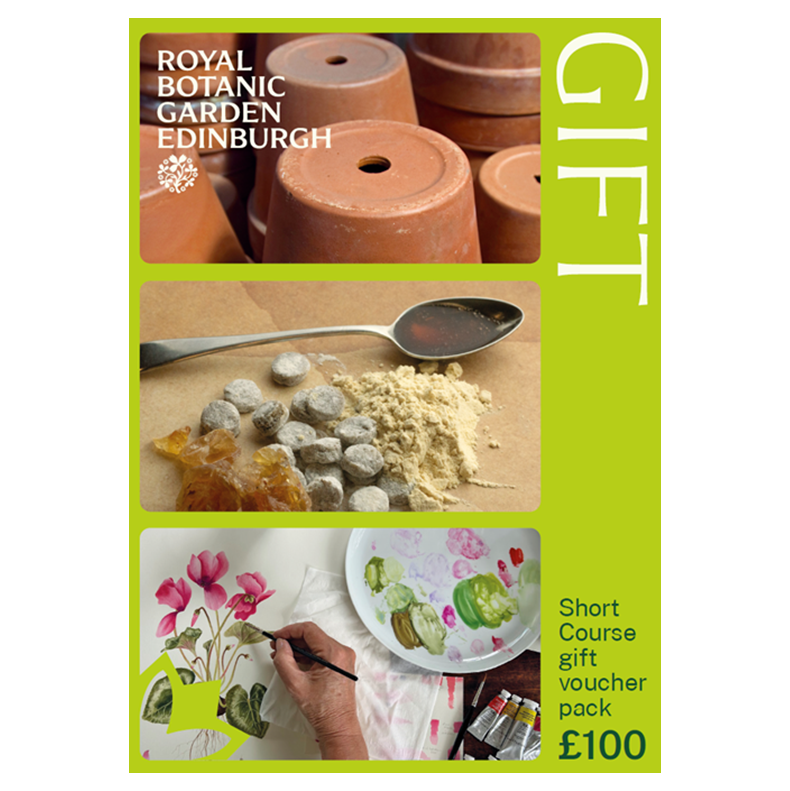 Short Course Gift Voucher Pack £100