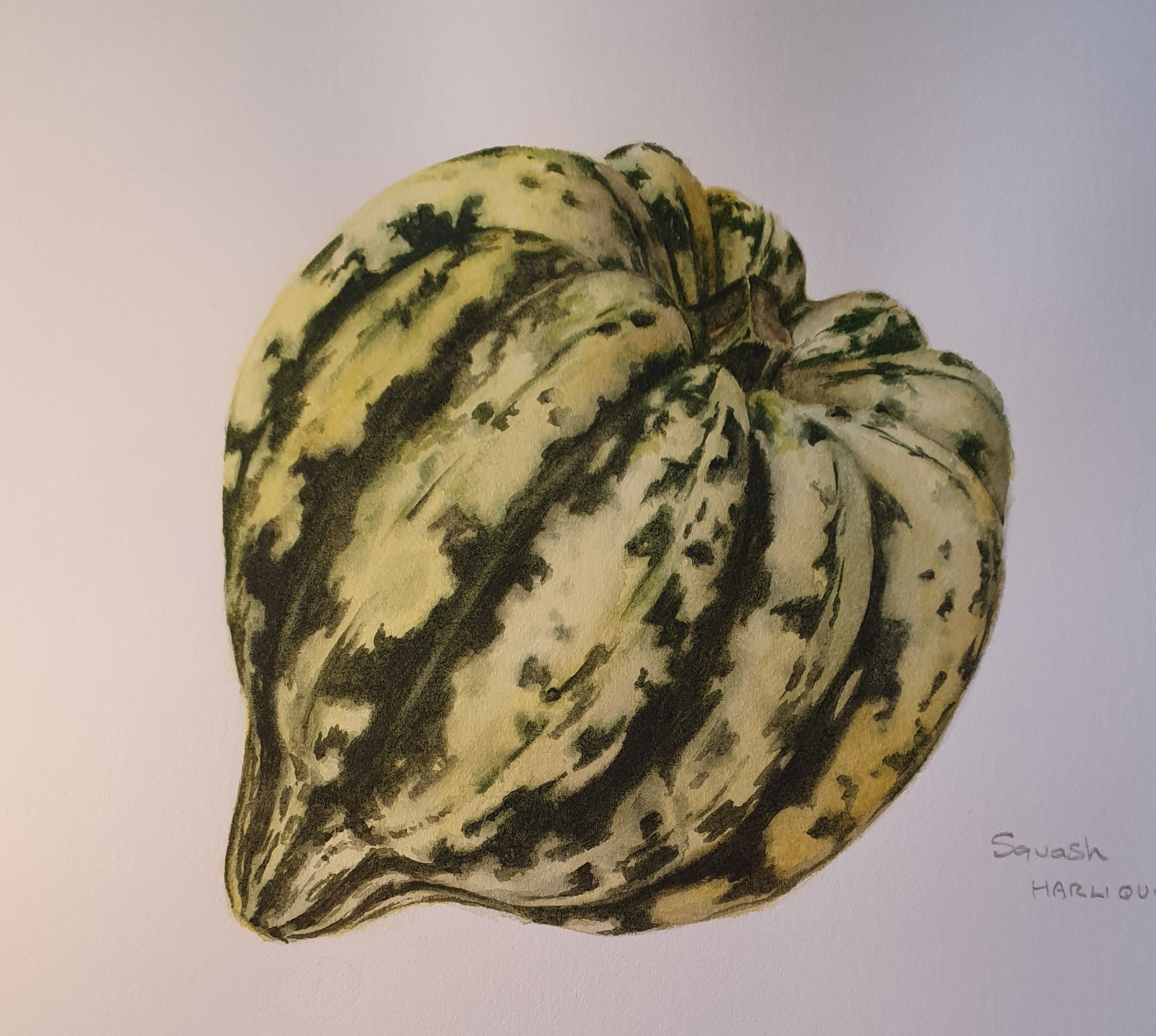 Botanical Art Skills and Techniques: Painting Pumpkins