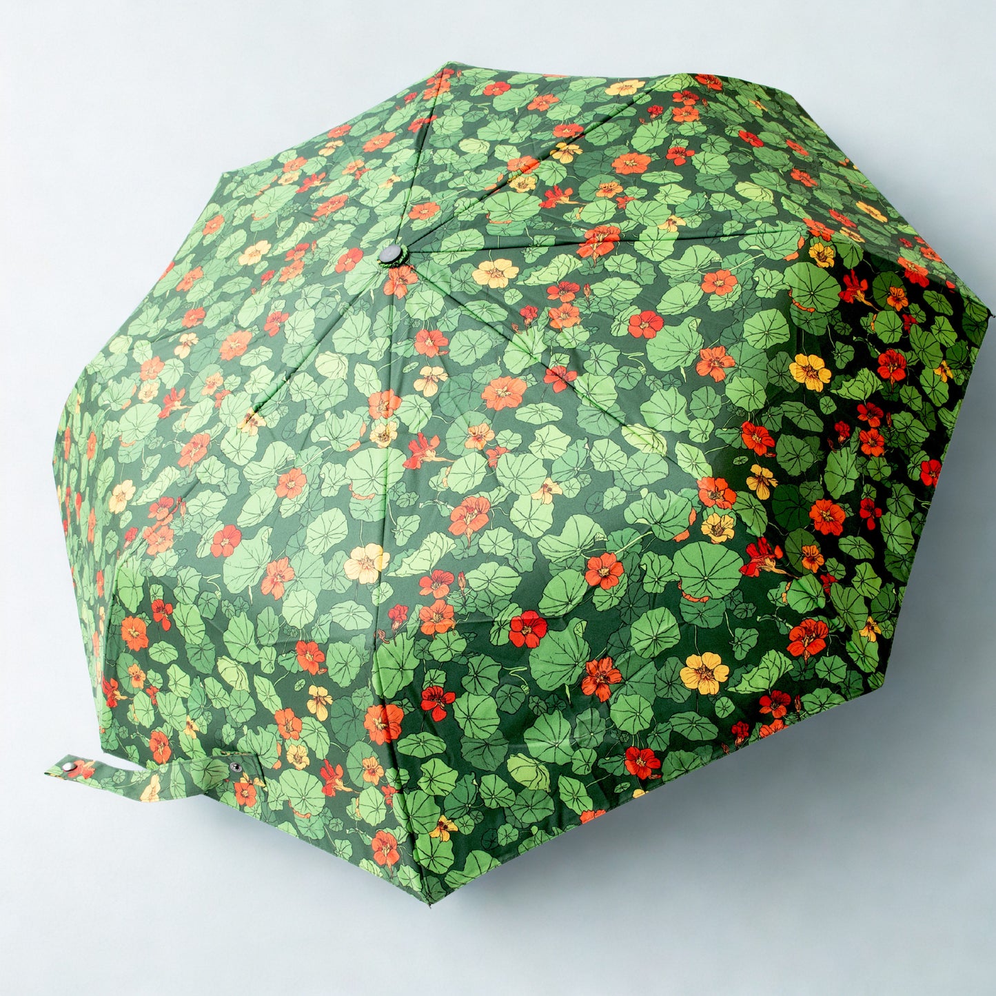 Planting with Nature:  Nasturtium Umbrella