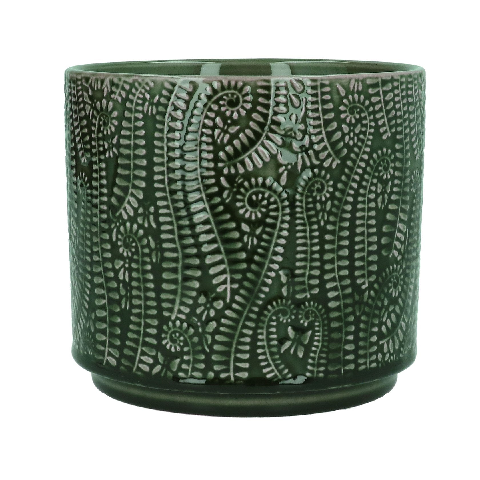 Fern - Plant Pot 17cm