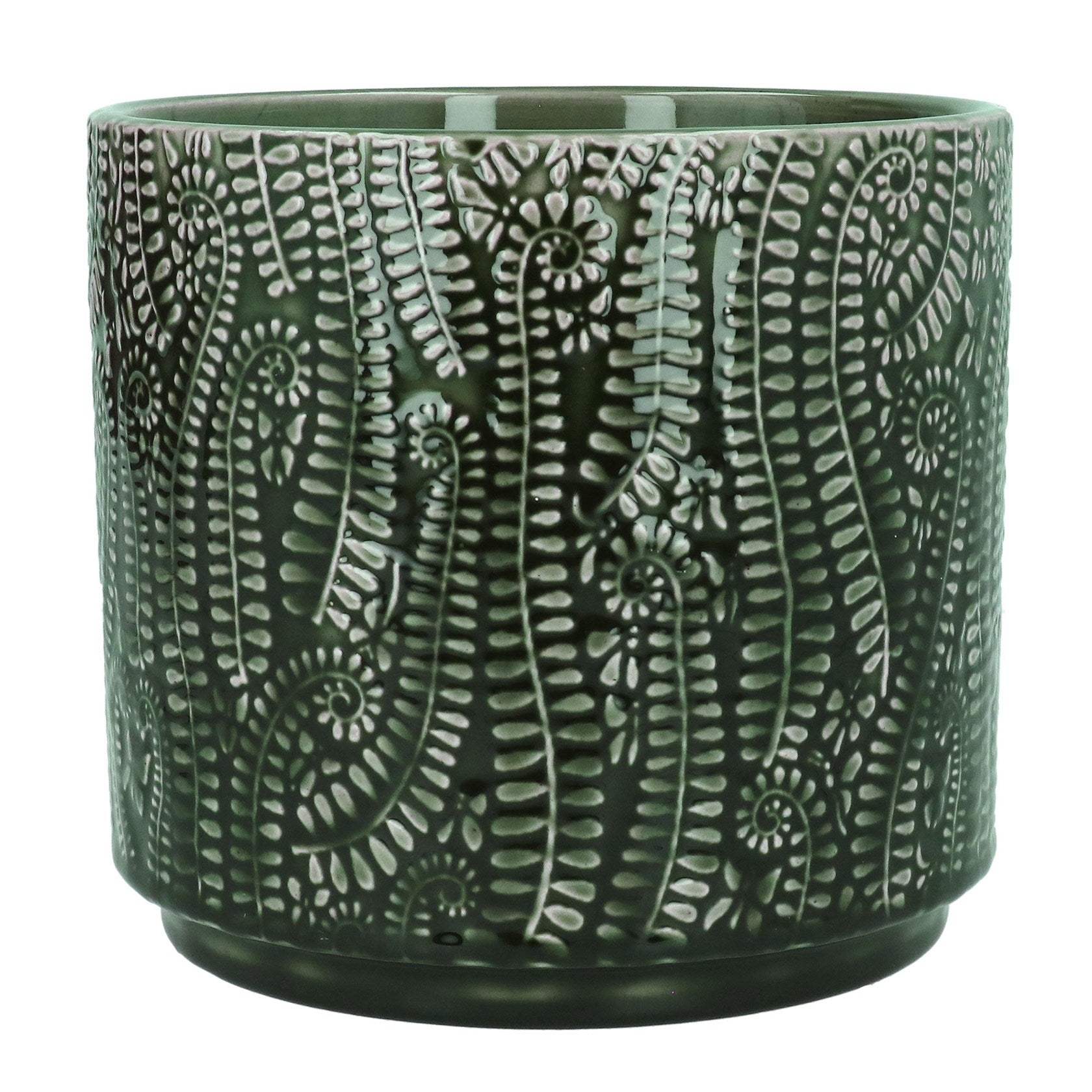 Fern - Plant Pot 14cm