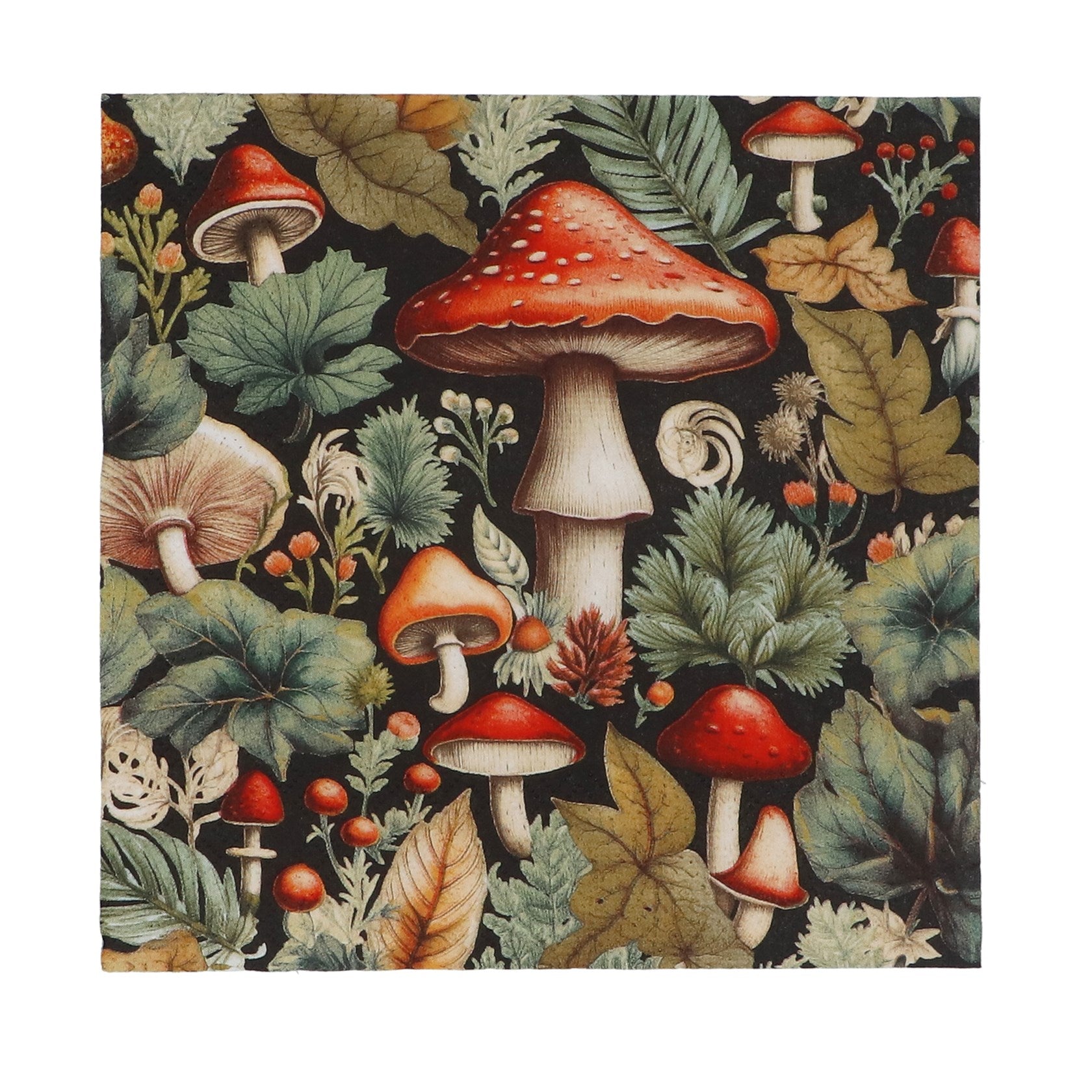 Toadstools - Napkins 20pk