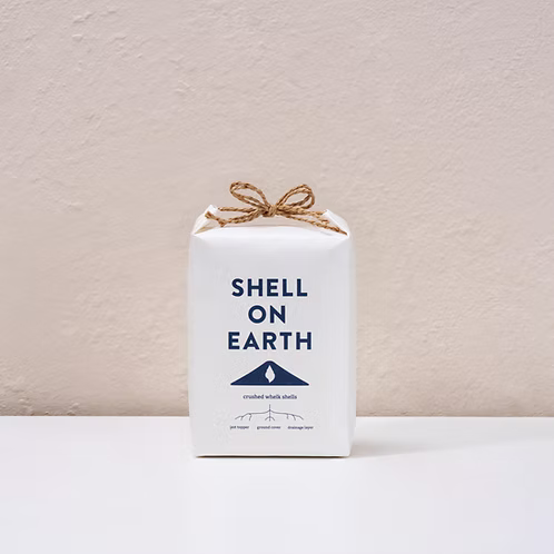 Shell On Earth - Whelk Shells Mini Bag (1kg)