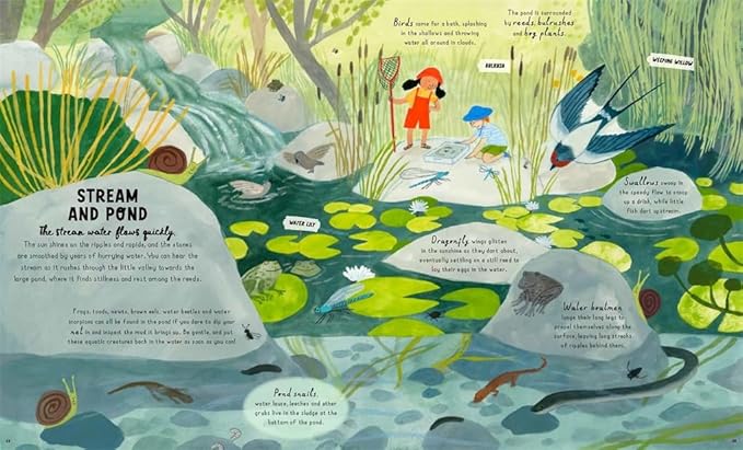 Nature Explained - A Family Guide to 20 Nature Cycles