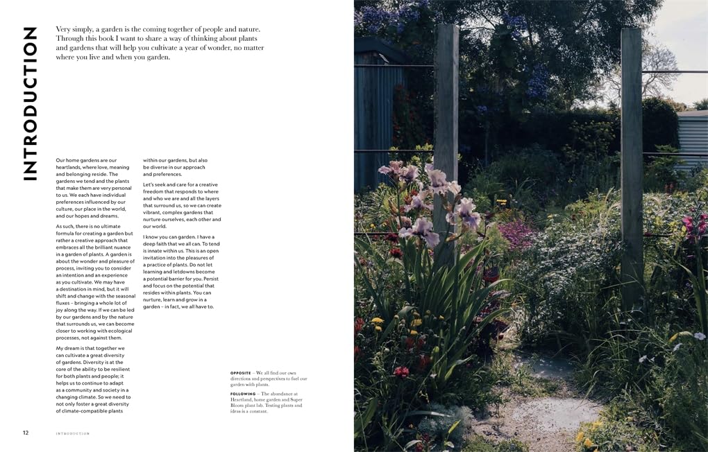 Flower Power: Designing Gardens for Year-Round Wonder
