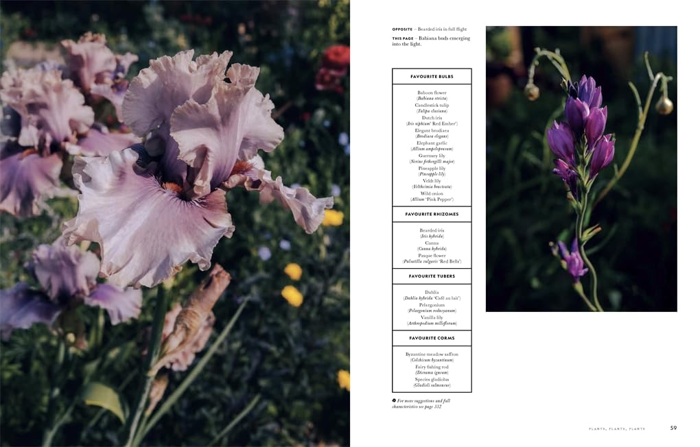 Flower Power: Designing Gardens for Year-Round Wonder