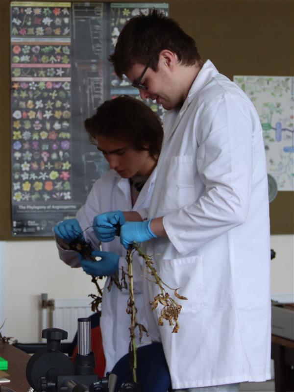 Expedition Botanics 2026