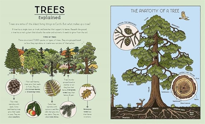 Nature Explained - A Family Guide to 20 Nature Cycles