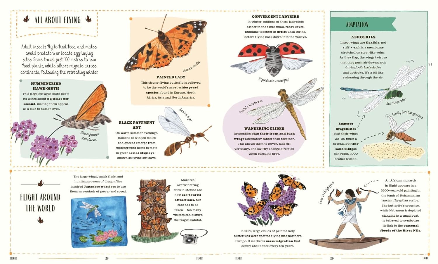 Little Bee's Book of Blooms