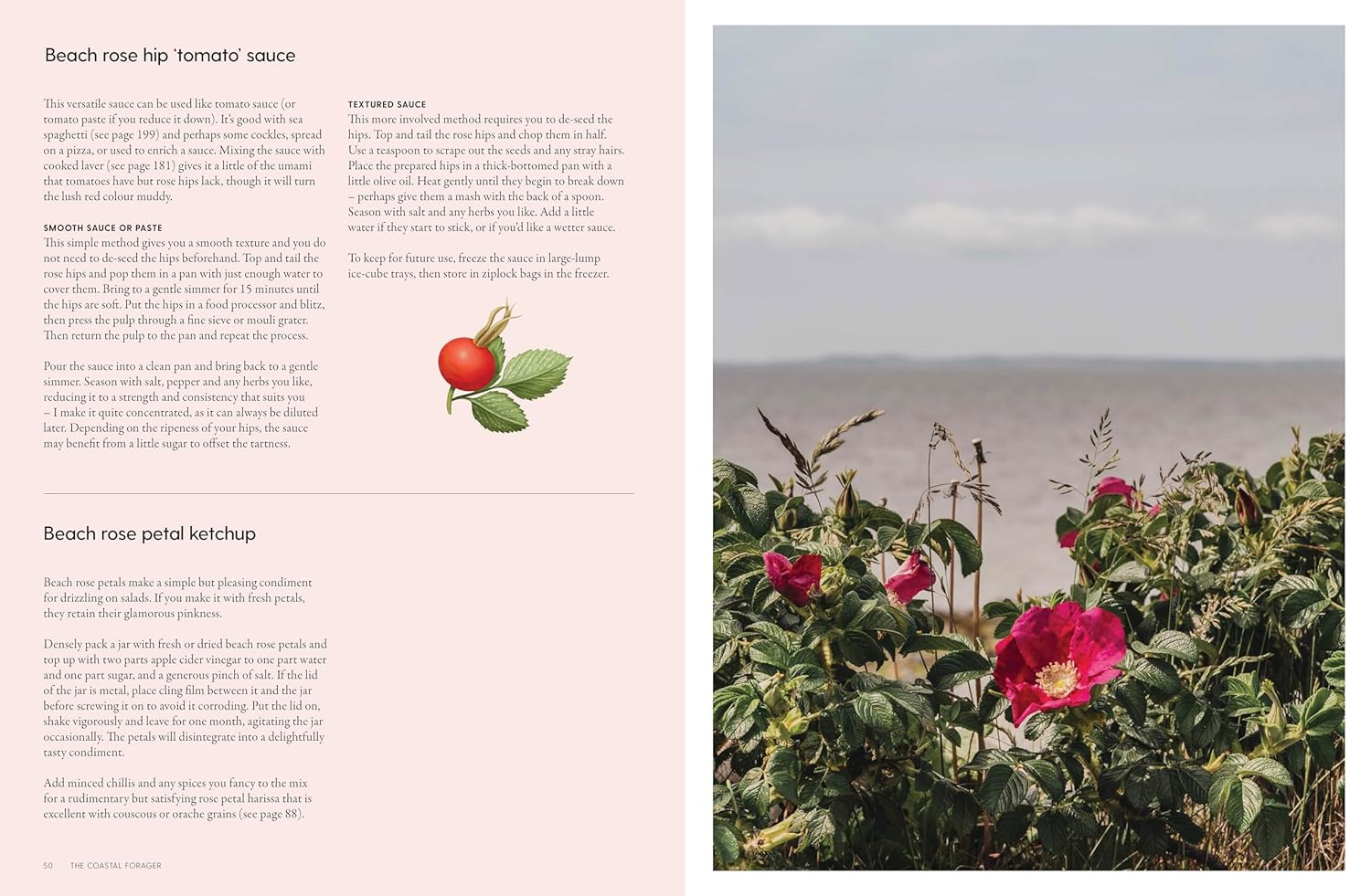 The Coastal Forager: Wild maritime food to preserve, cook, eat