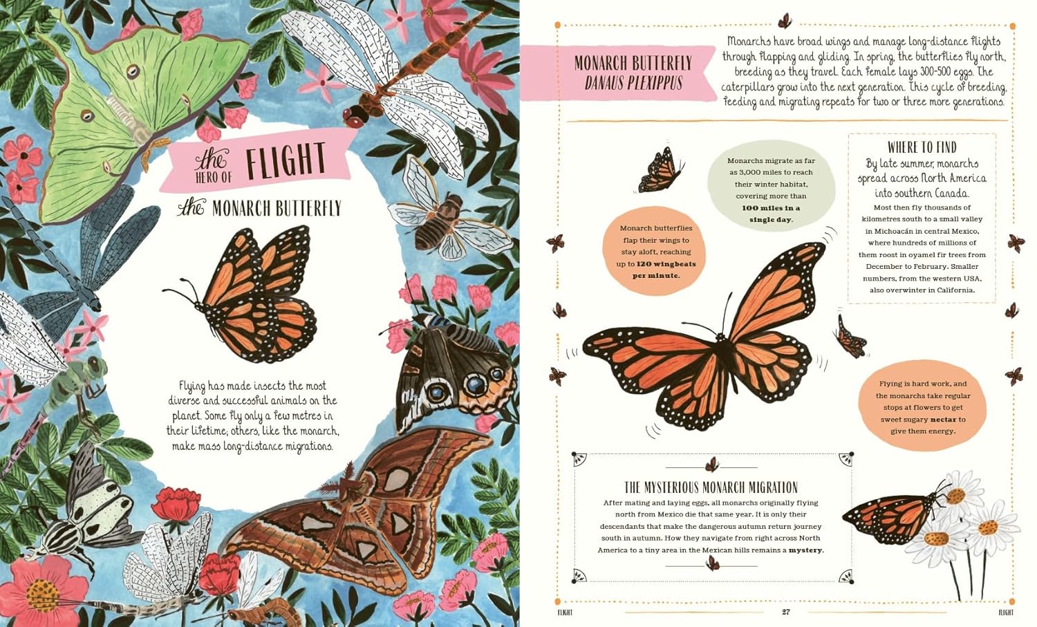 Buzz: A child's guide to bugs and bees and how to spot them