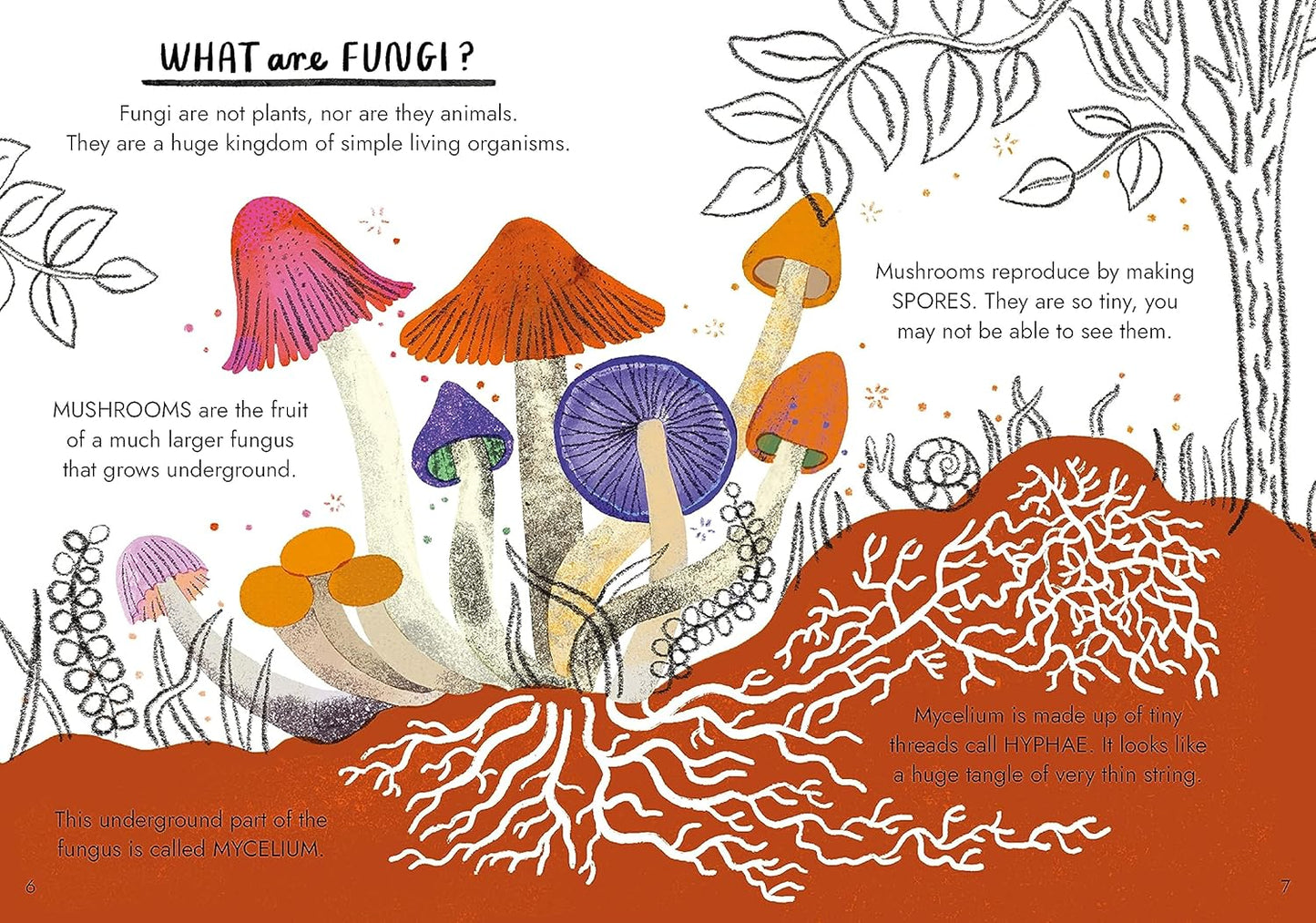 Hello Fungi: A little guide to nature