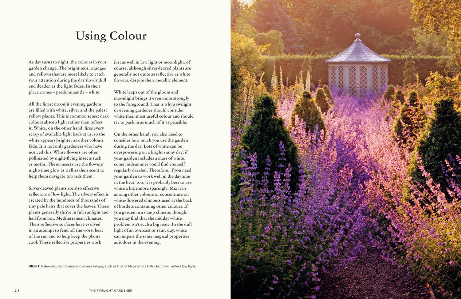 The Twilight Gardener