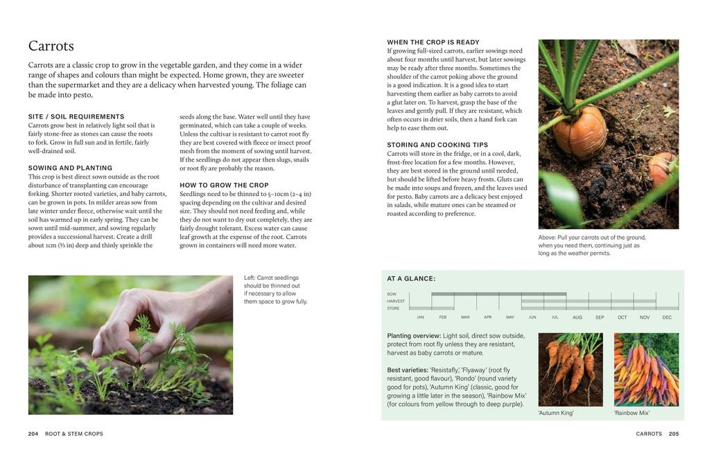 Grow Your Own Veg Throughout The Year