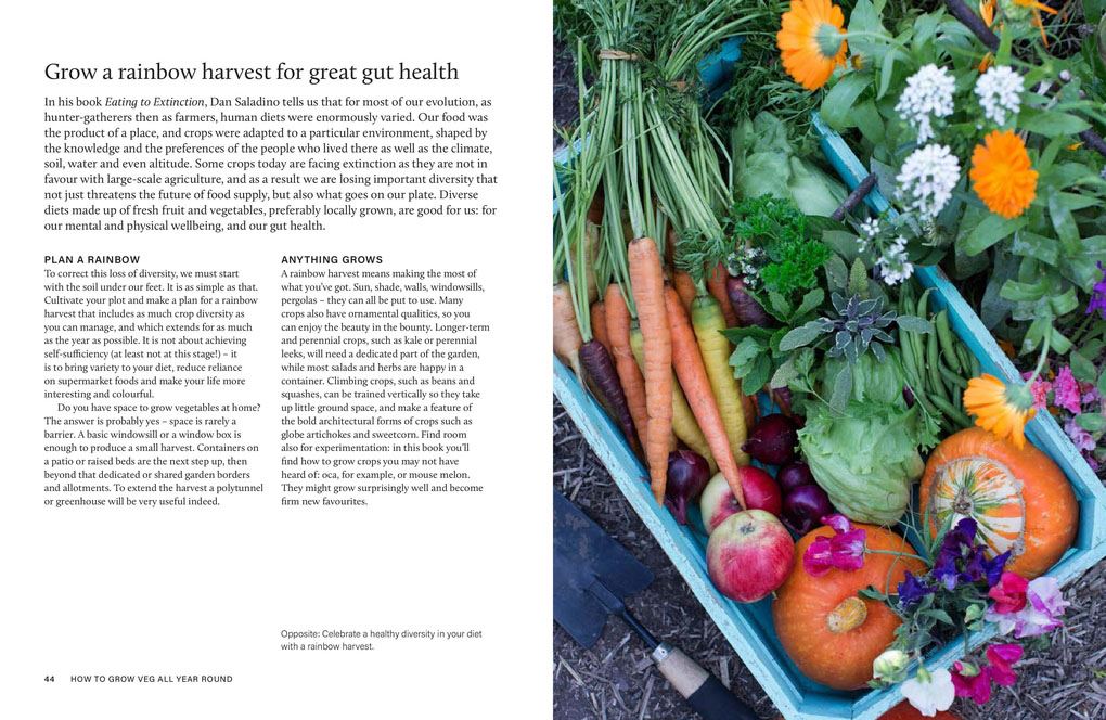 Grow Your Own Veg Throughout The Year