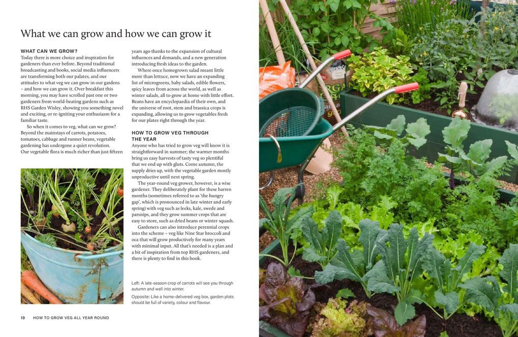 Grow Your Own Veg Throughout The Year