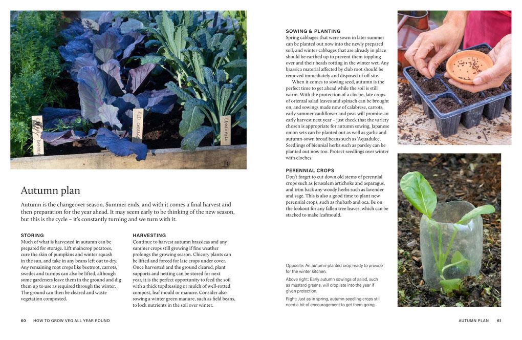 Grow Your Own Veg Throughout The Year
