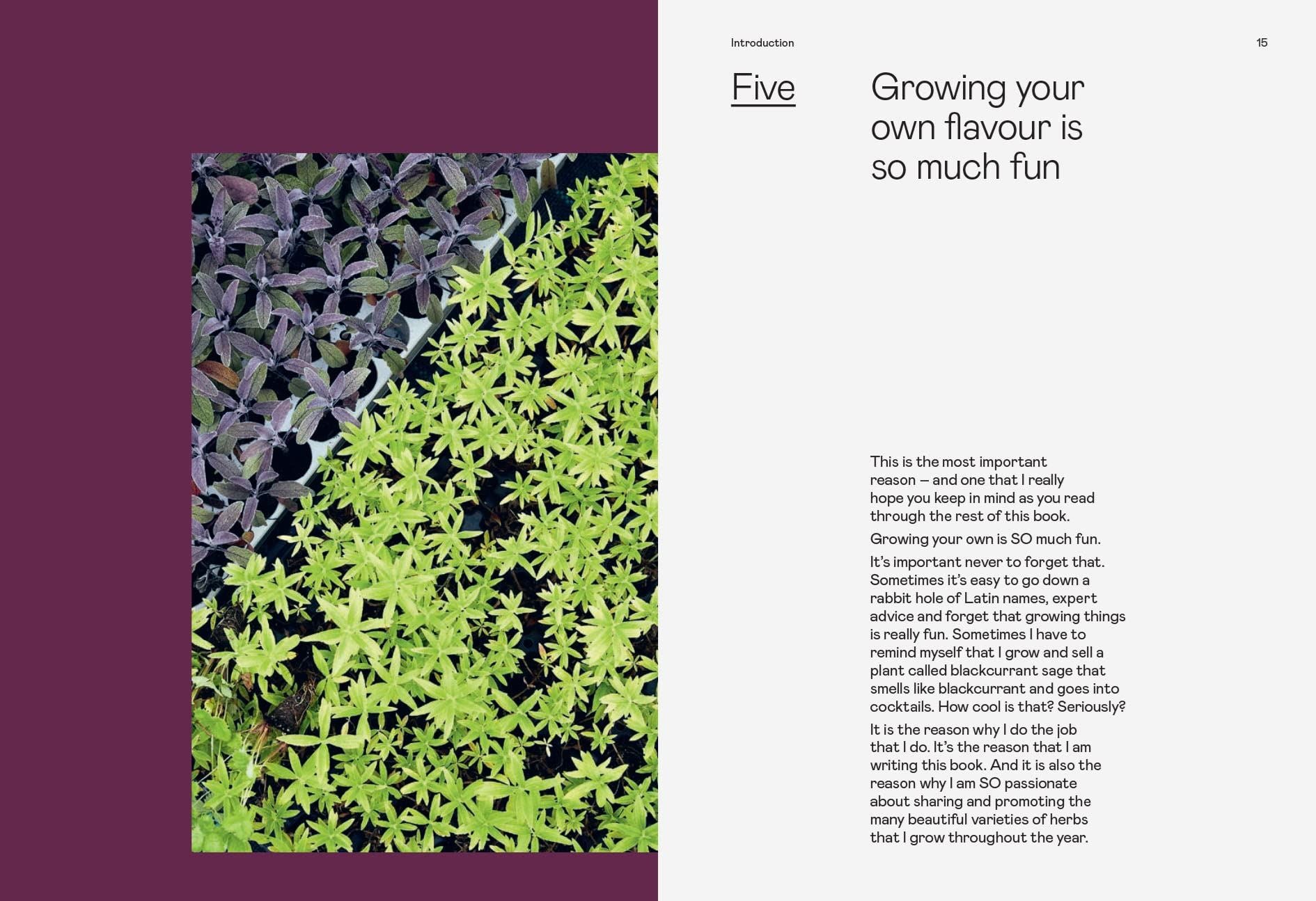 The Herb Gardening Handbook