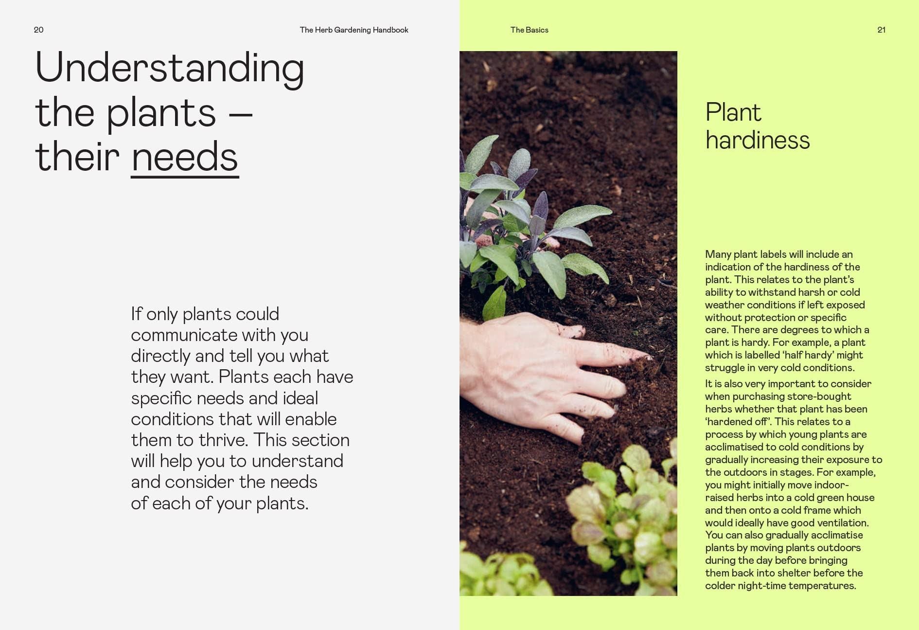 The Herb Gardening Handbook