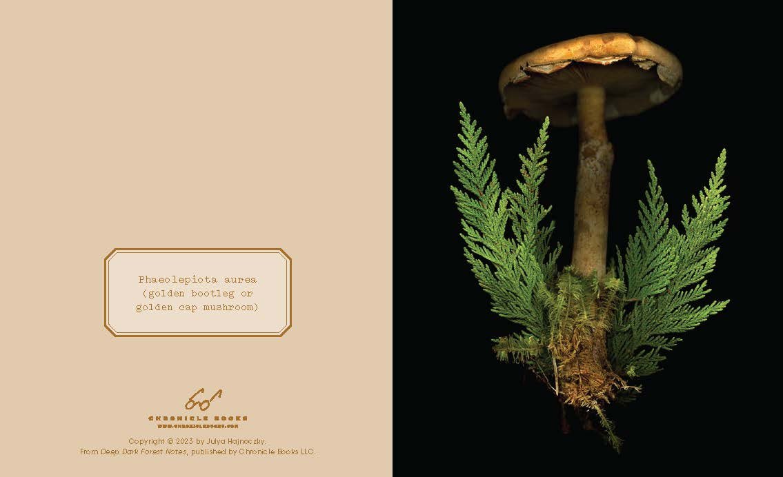 Deep Dark Forest Mushroom Notecards