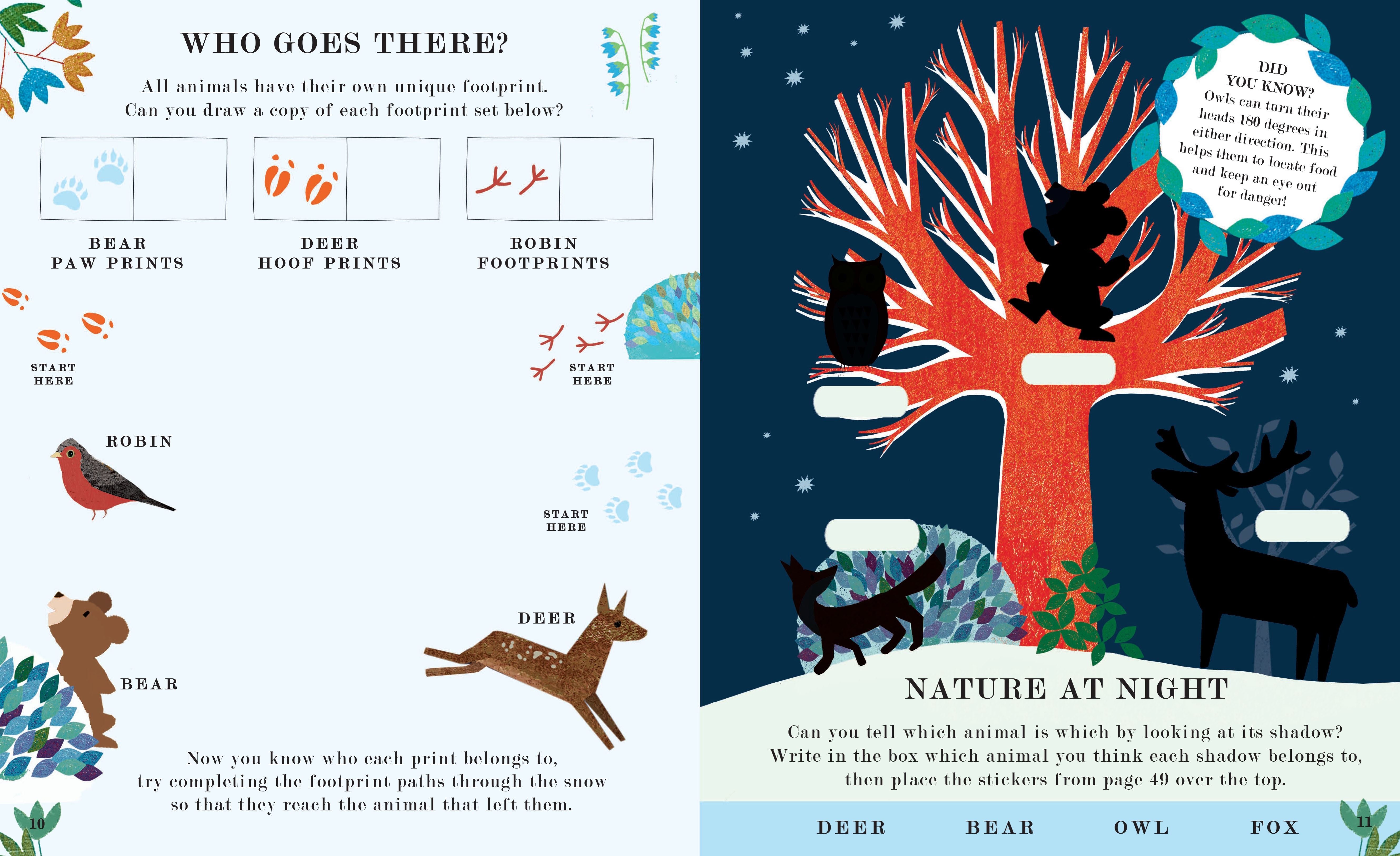 Tree: Seasons Come, Seasons Go Activity Book