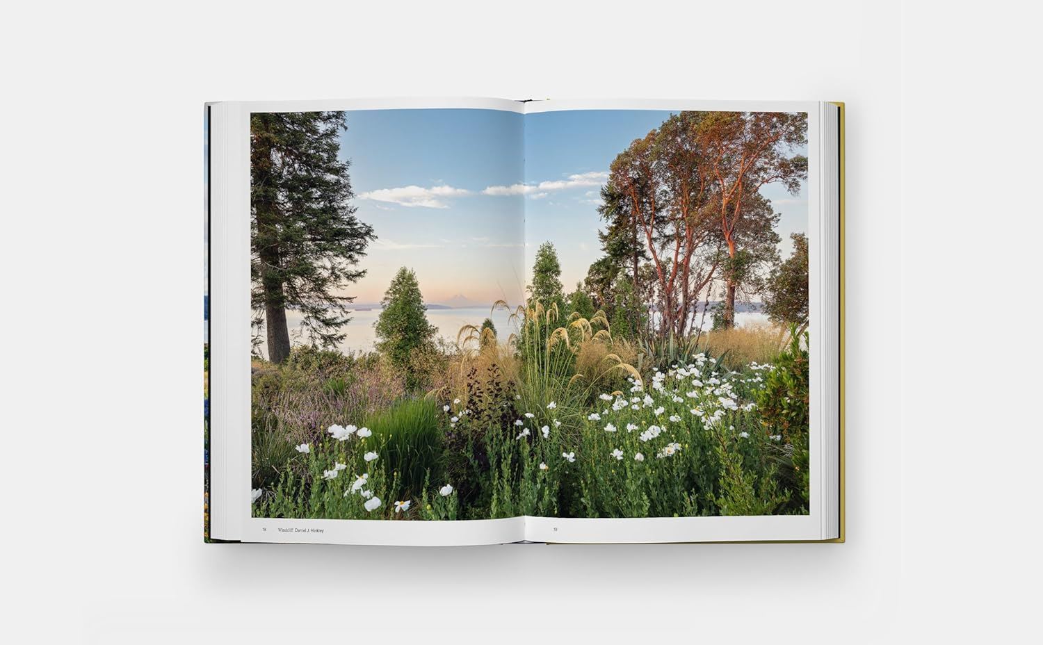 Coastal Garden