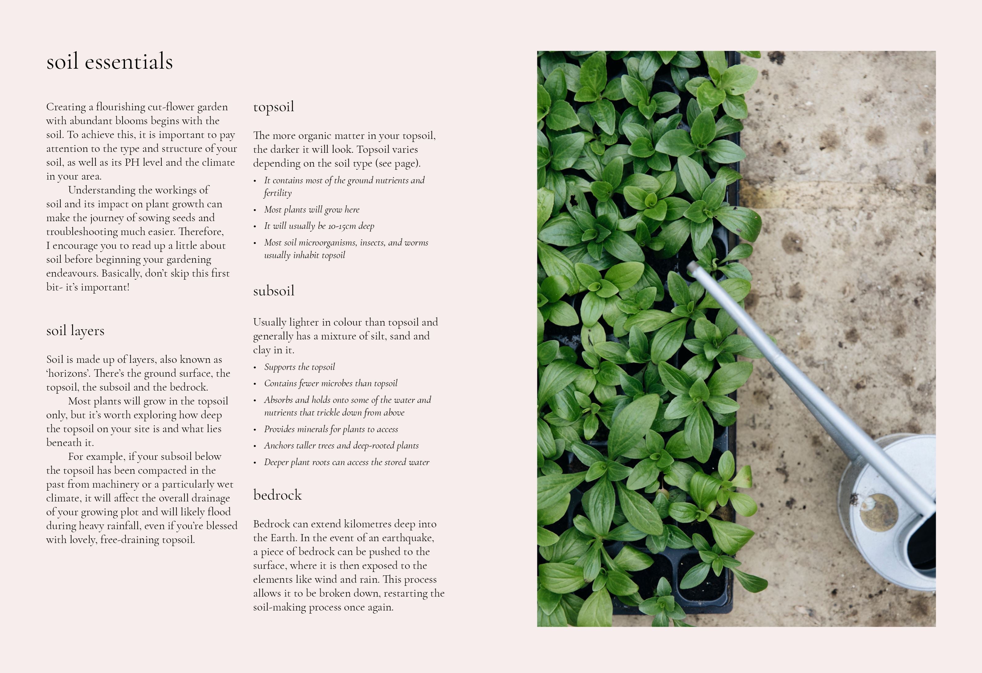 The Grower's Guide - Seeds