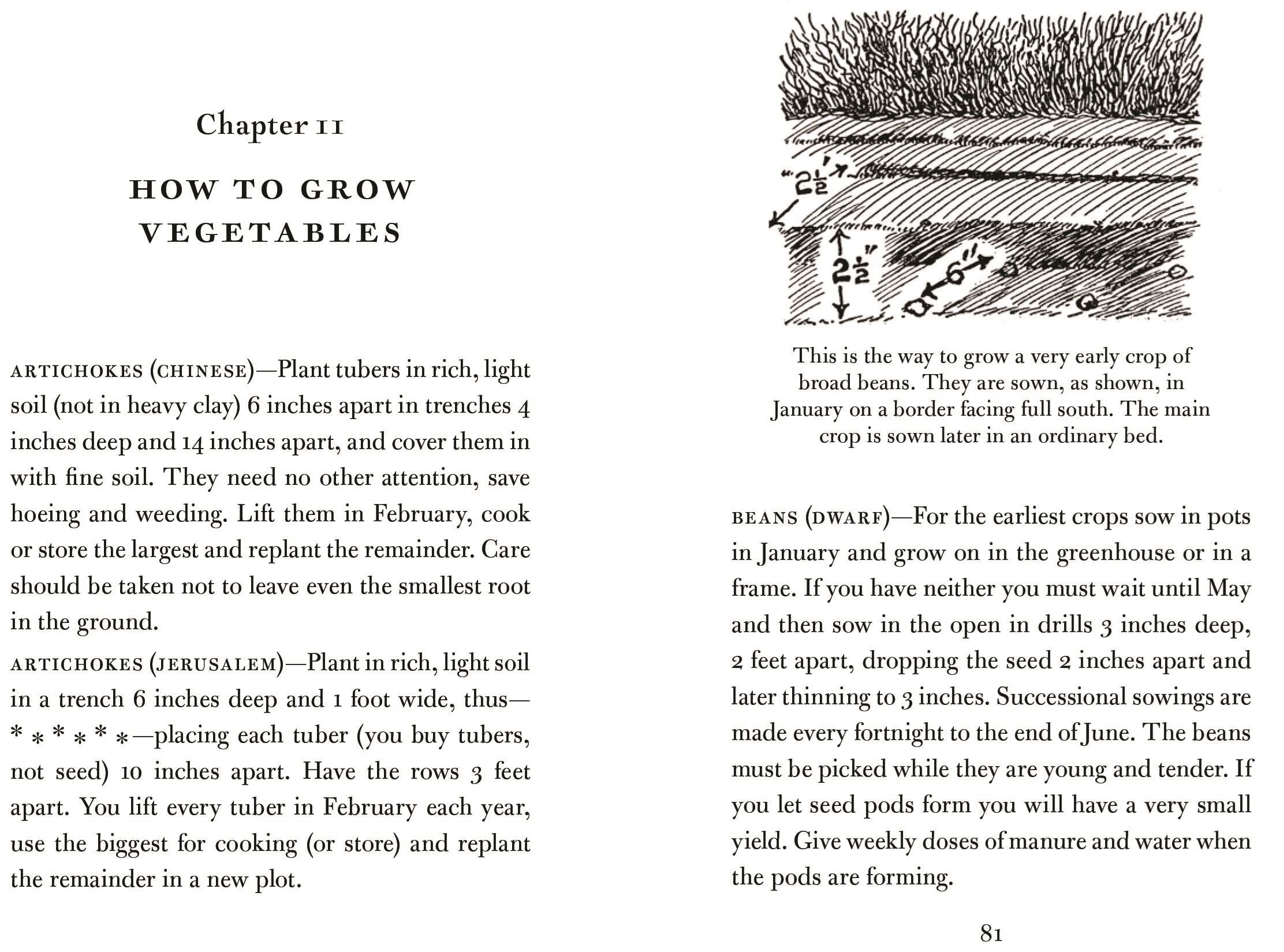 The Allotment Book