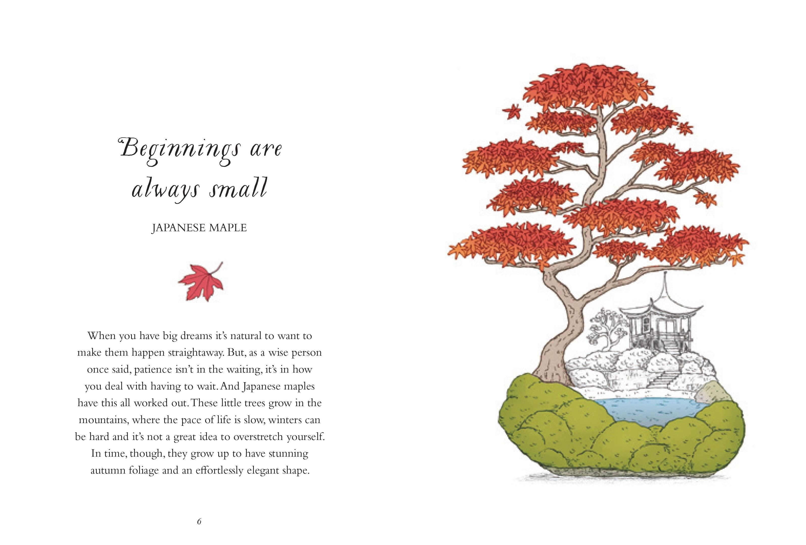 How To Be More Tree: Essential Life Lessons