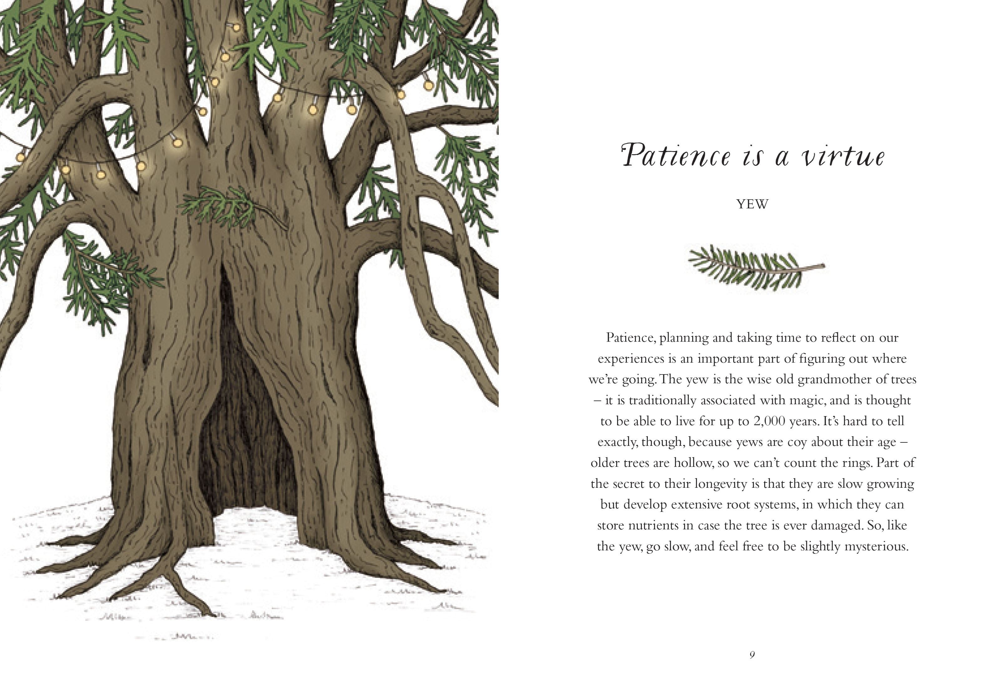 How To Be More Tree: Essential Life Lessons