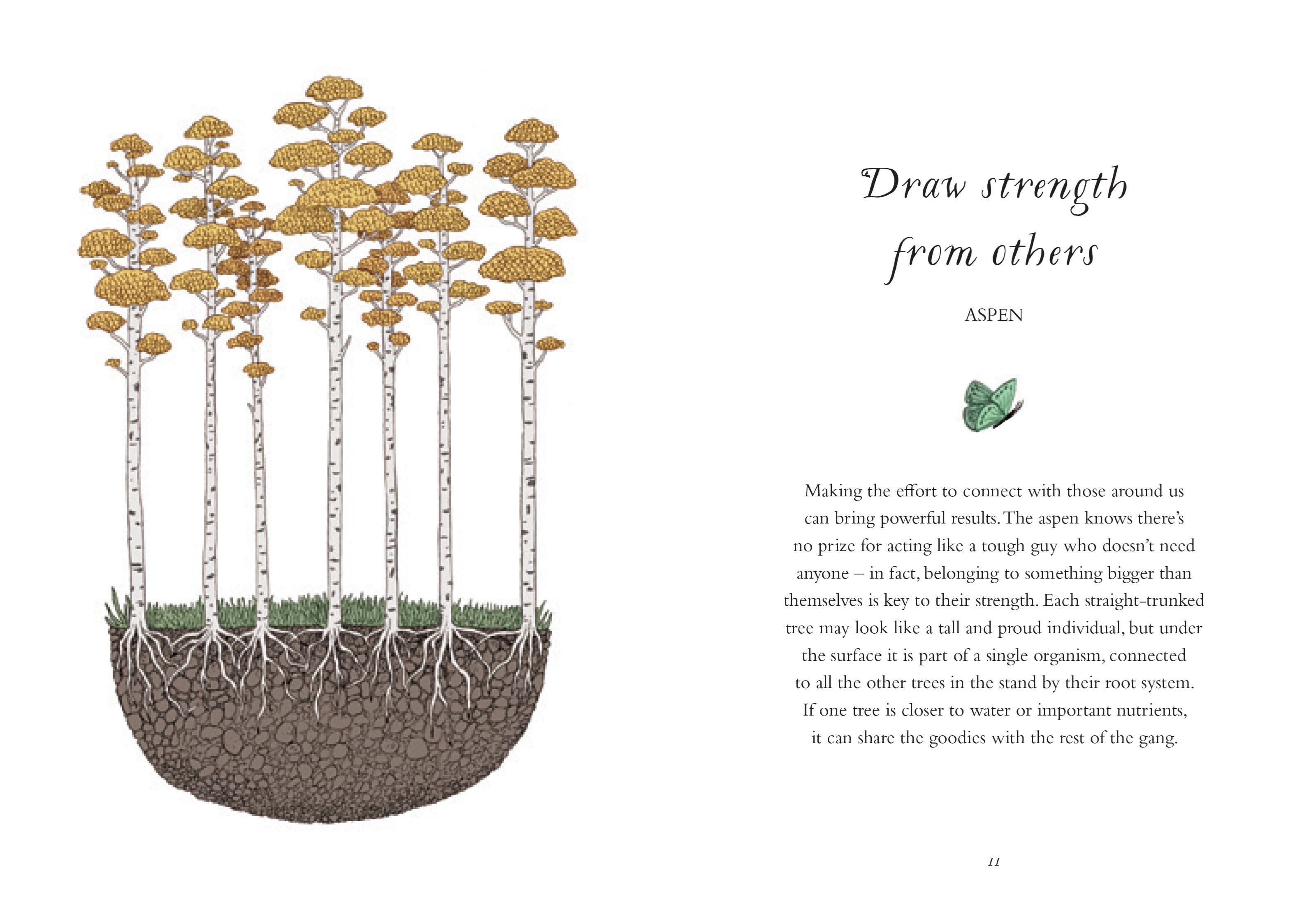 How To Be More Tree: Essential Life Lessons