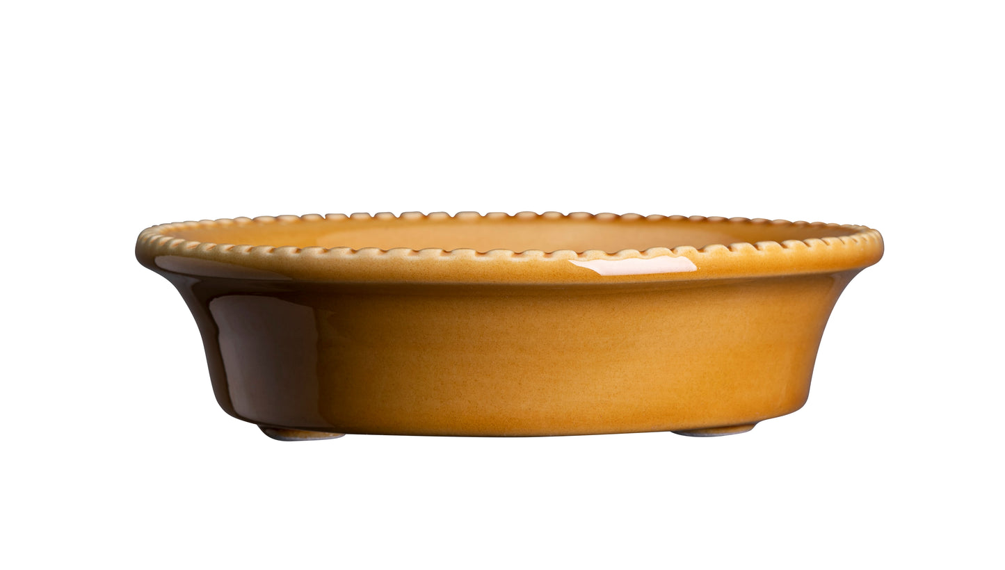 Bergs Potter - Simona Terracotta Pot and Saucer 12cm