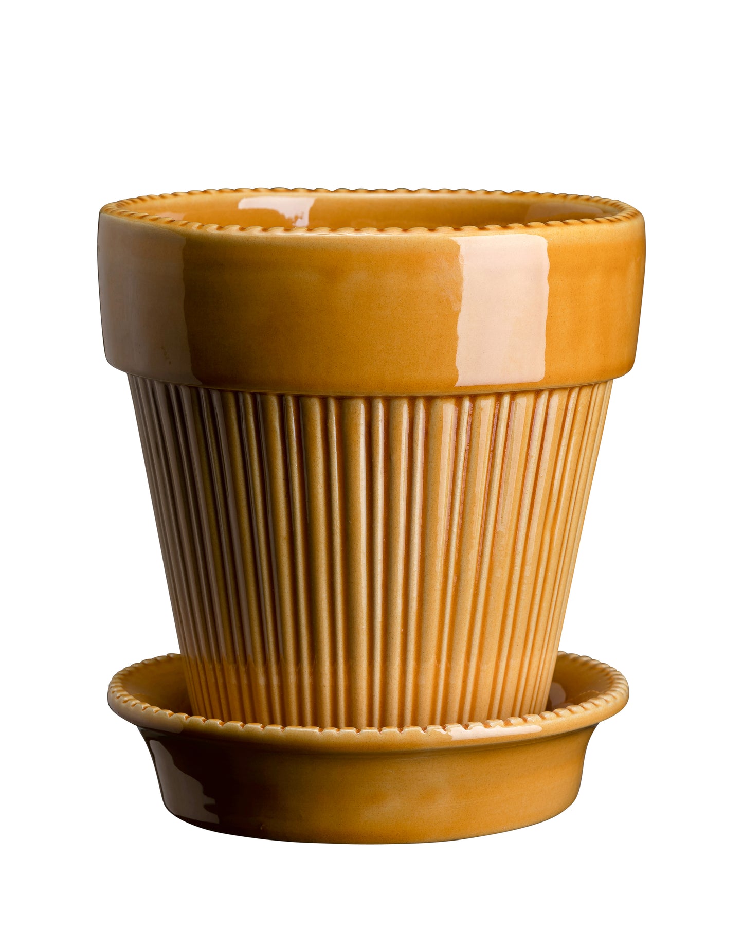 Bergs Potter - Simona Terracotta Pot and Saucer 12cm