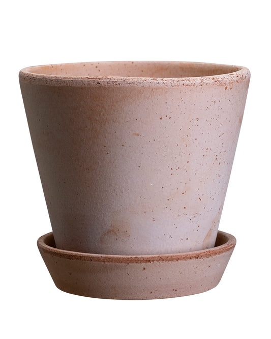 Bergs Potter - Julie Terracotta Pot and Saucer 12cm