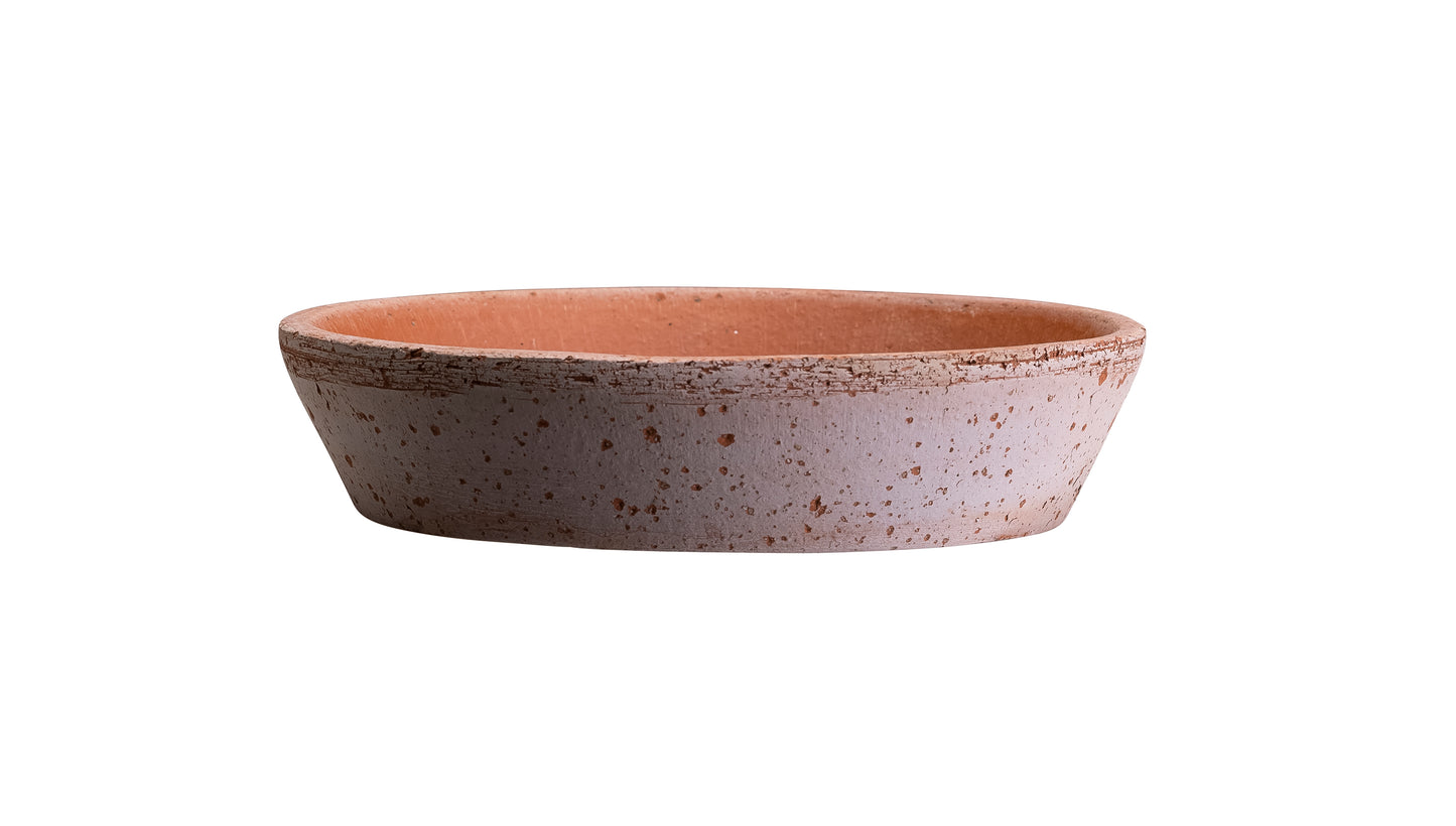 Bergs Potter - Julie Terracotta Pot and Saucer 12cm