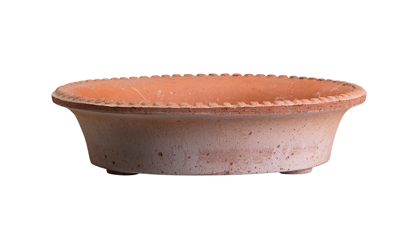 Bergs Potter - Simona Terracotta Pot and Saucer 14cm