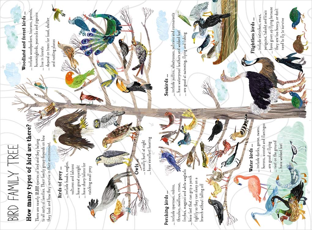 Big Book Of Birds