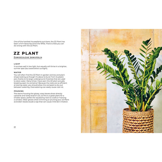 Big Book of House Plants