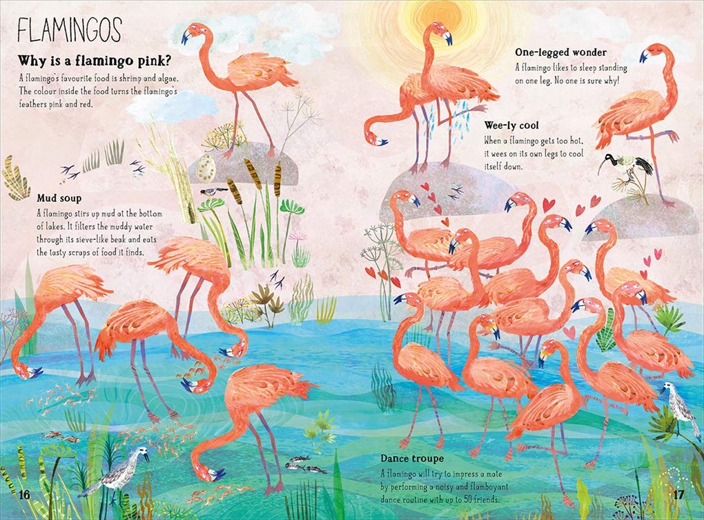 Big Book Of Birds