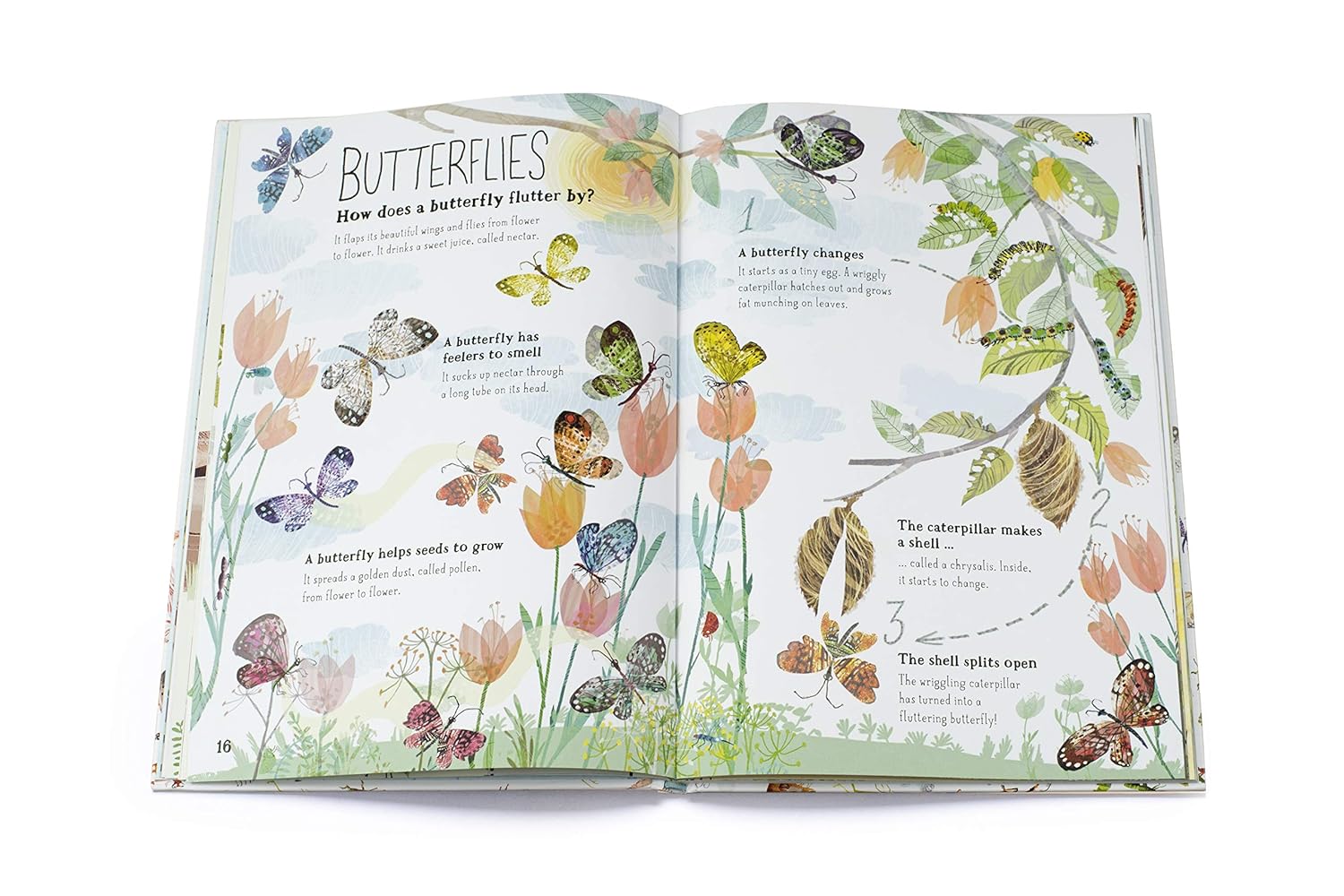 Big Book Of Bugs
