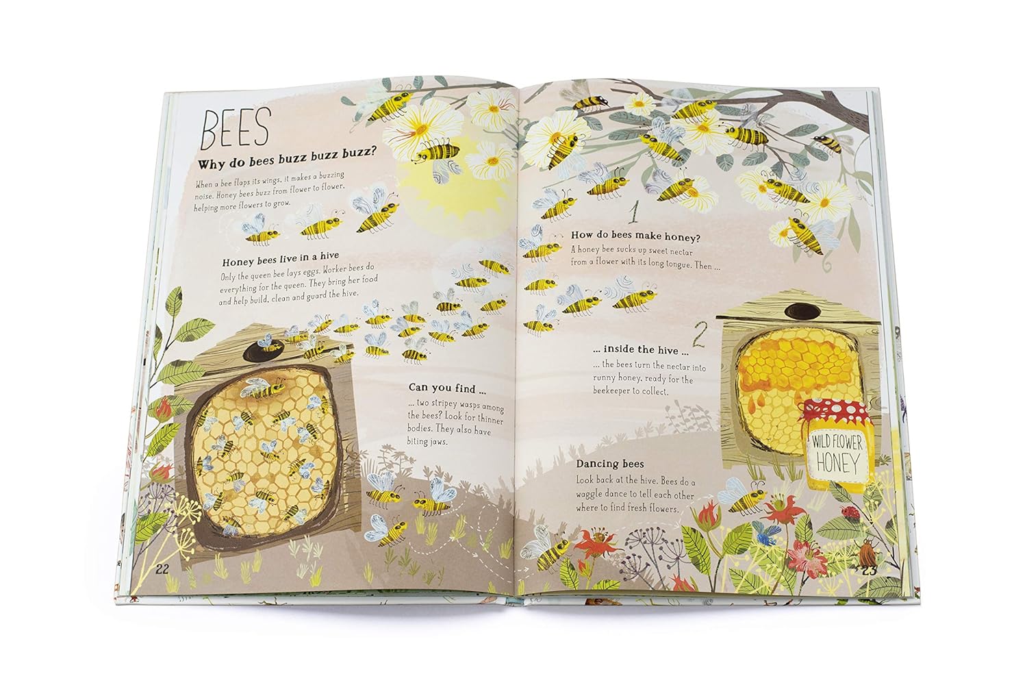 Big Book Of Bugs