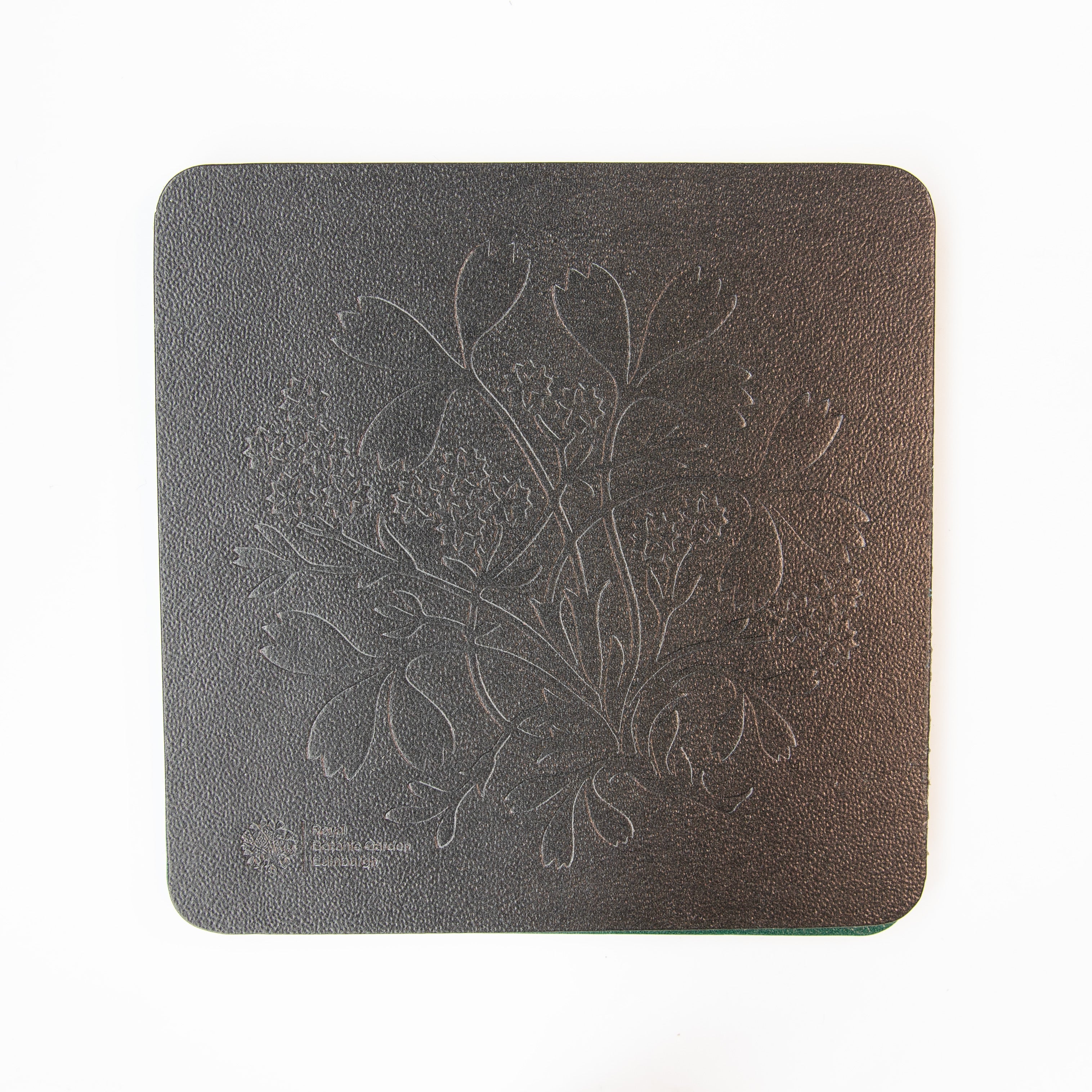 Sibbaldia Coaster