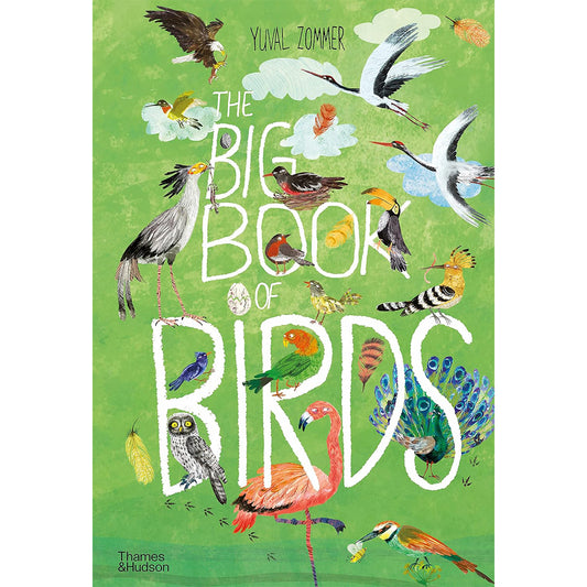 Big Book Of Birds
