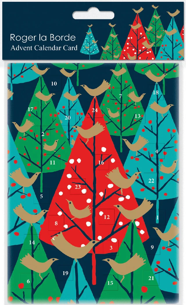 Brilliant Birds Advent Card