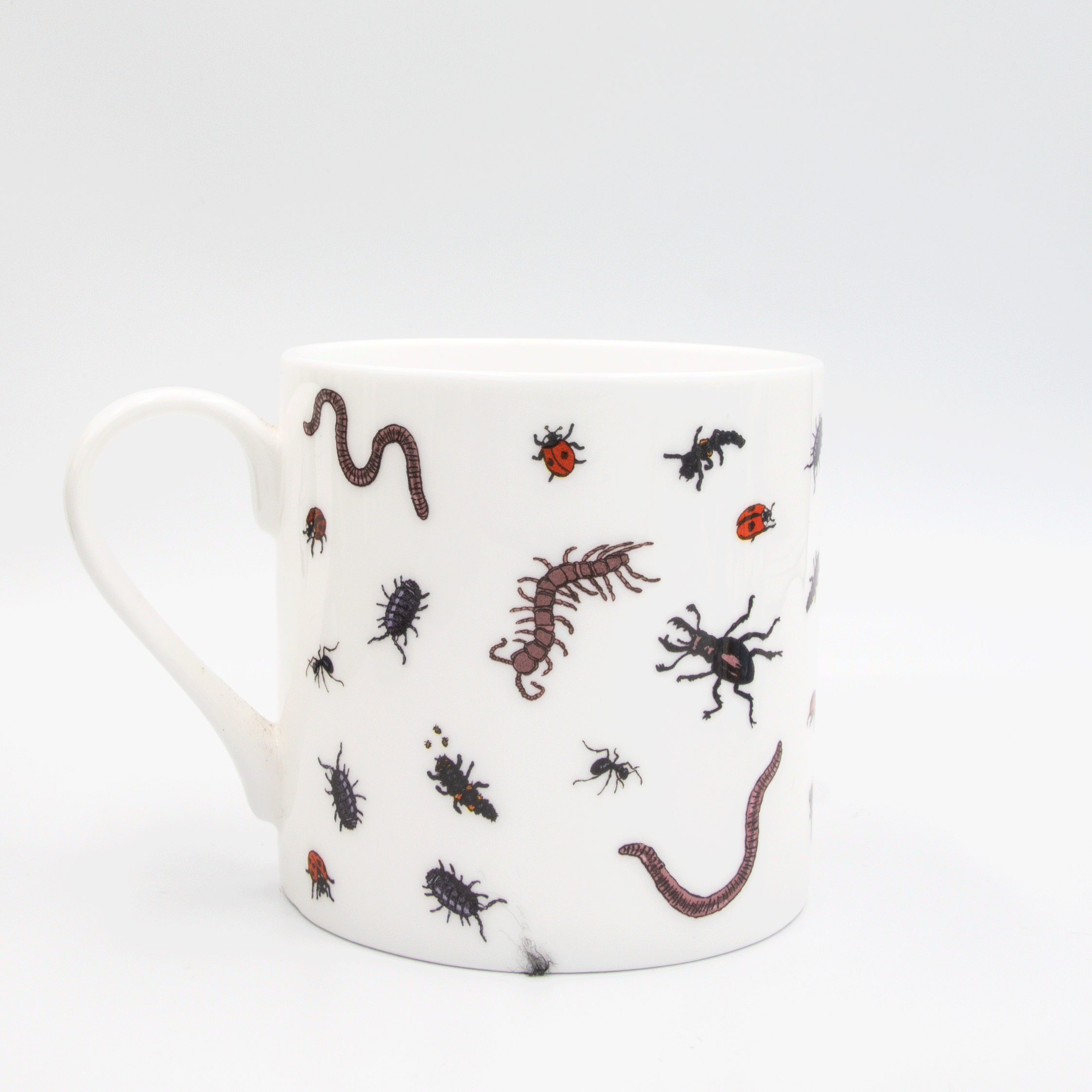 Planting with Nature: Bug Mug