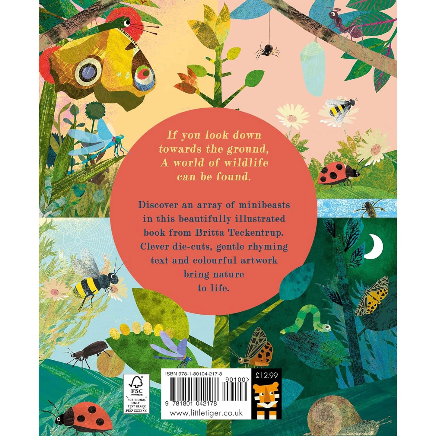 Bugs: Explore a tiny world full of life