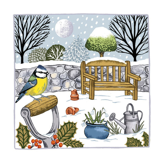 Winter Blue Tit Christmas Cards - Pack of 8
