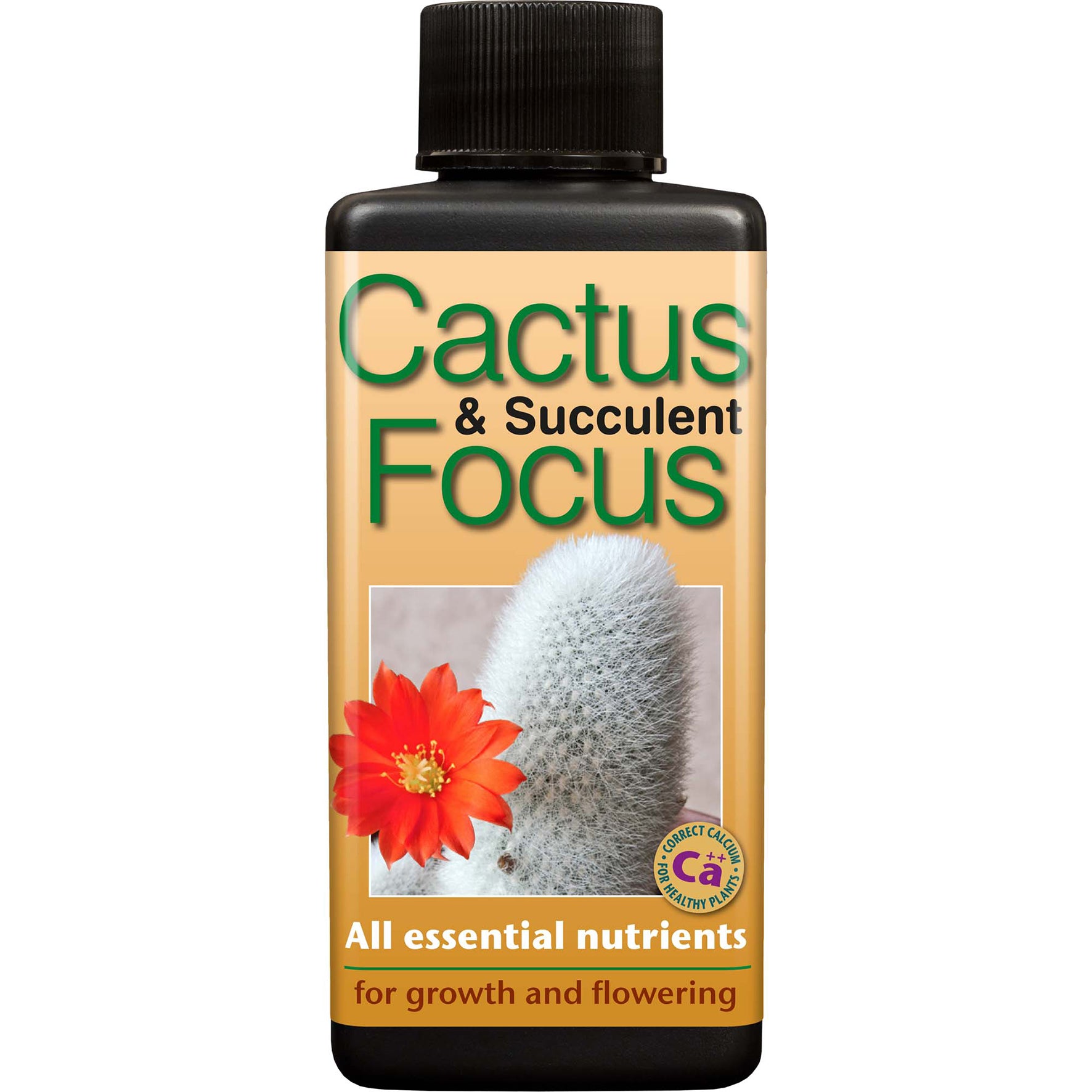Cactus &amp; Succulent Focus 100ml